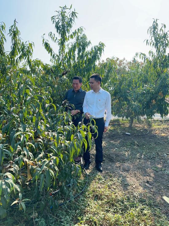大纵湖支行行长李亚